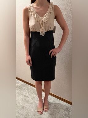 Taylor Size 2 Silk V-Neck Ruffle Bodice Dress Blush Pink & Gray NWT Sheath Work